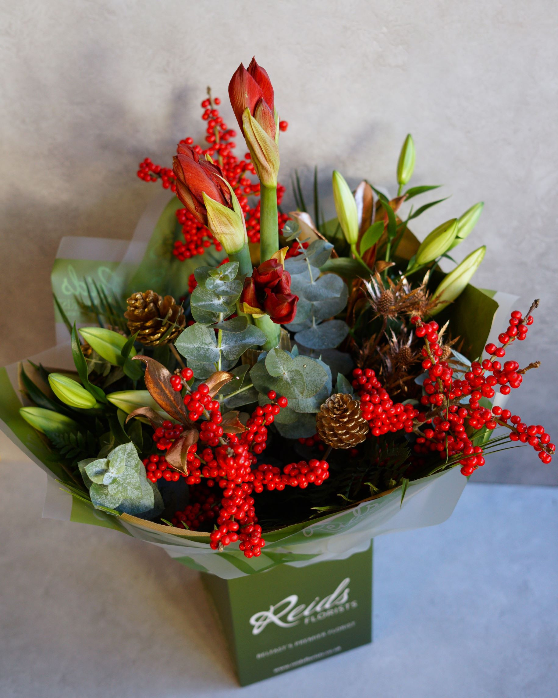 Amaryllis and Berries